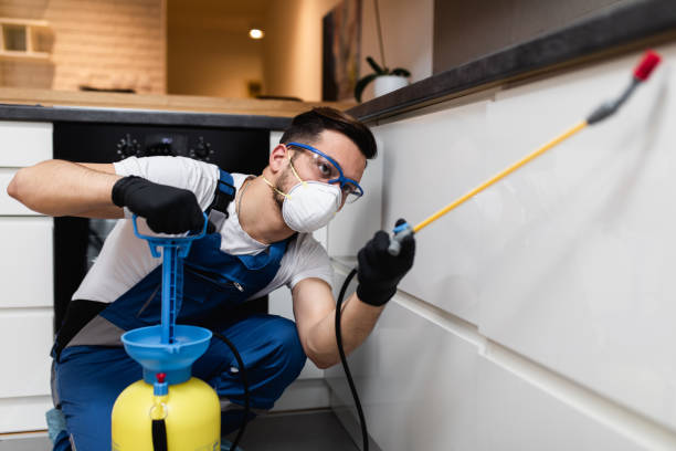 Best Pest Removal Services  in Smithfield, NC