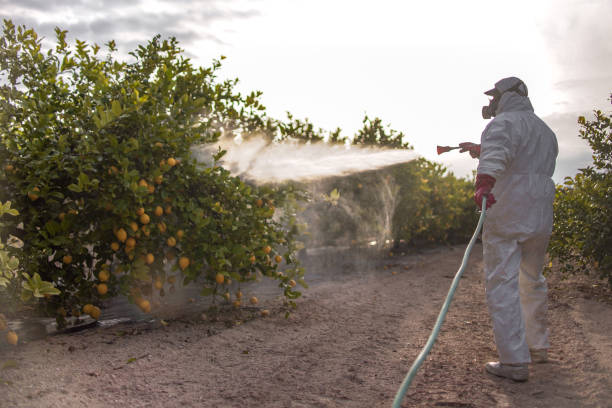 Best Mosquito Control Services  in Smithfield, NC