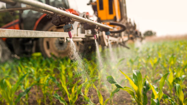 Professional Pest Control in Smithfield, NC