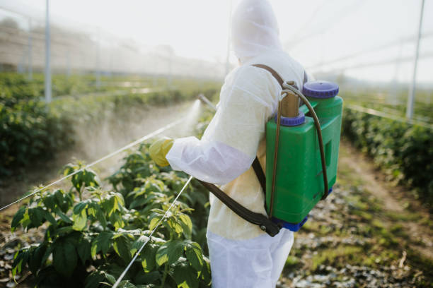 Best Wildlife Control Services  in Smithfield, NC